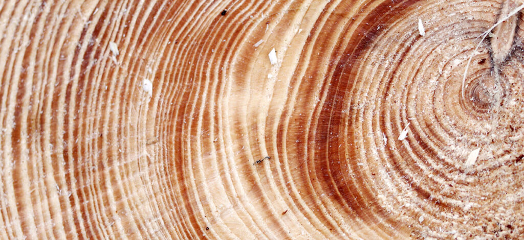 charon post 108 Charon Post 108