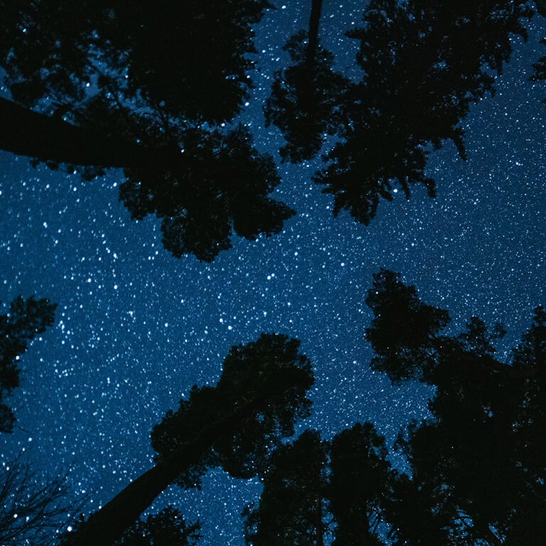 Kosha Joubert Post Sq