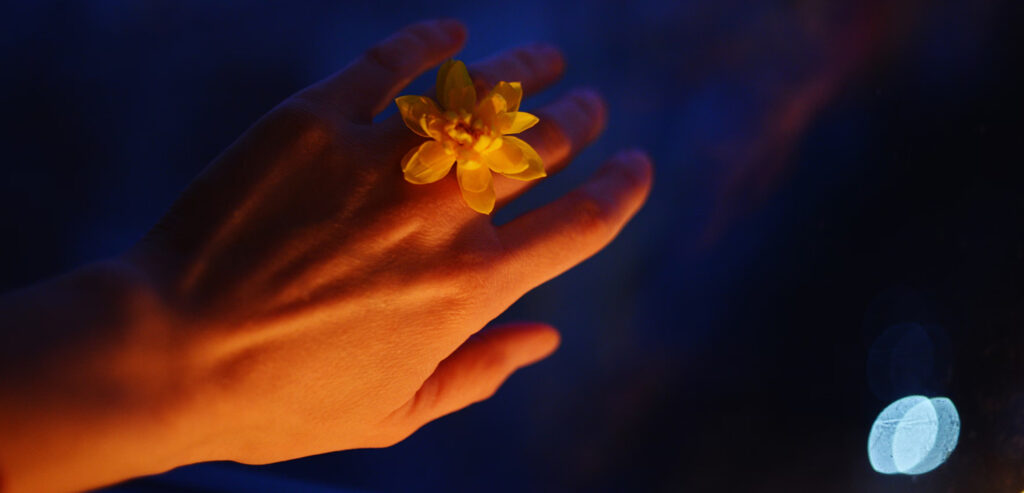 Ester-Bio post Ester Bio Post