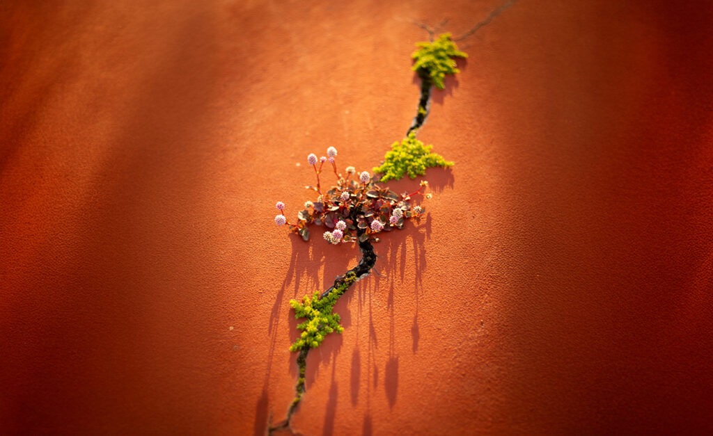 ana solyom blog Image