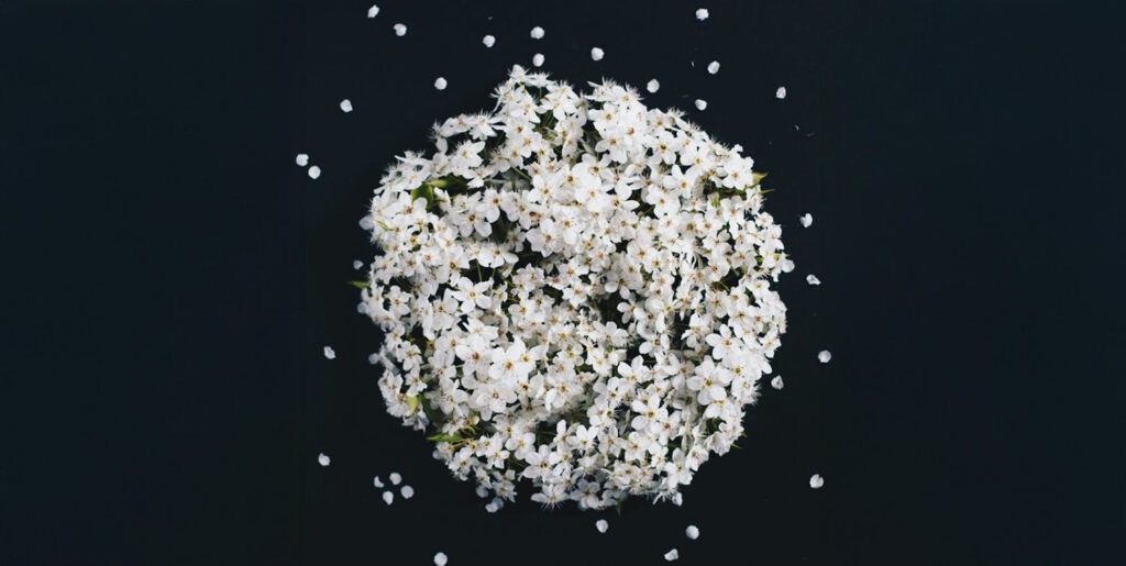 Karen blog REC Image