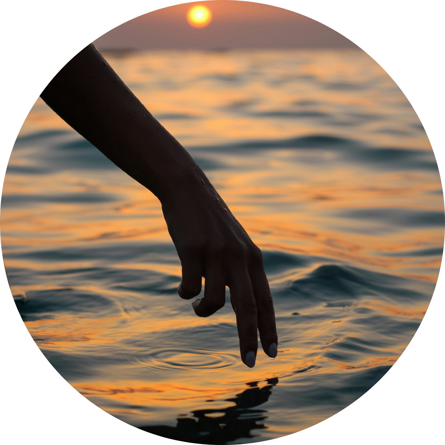 Introducción a la Indagación Compasiva