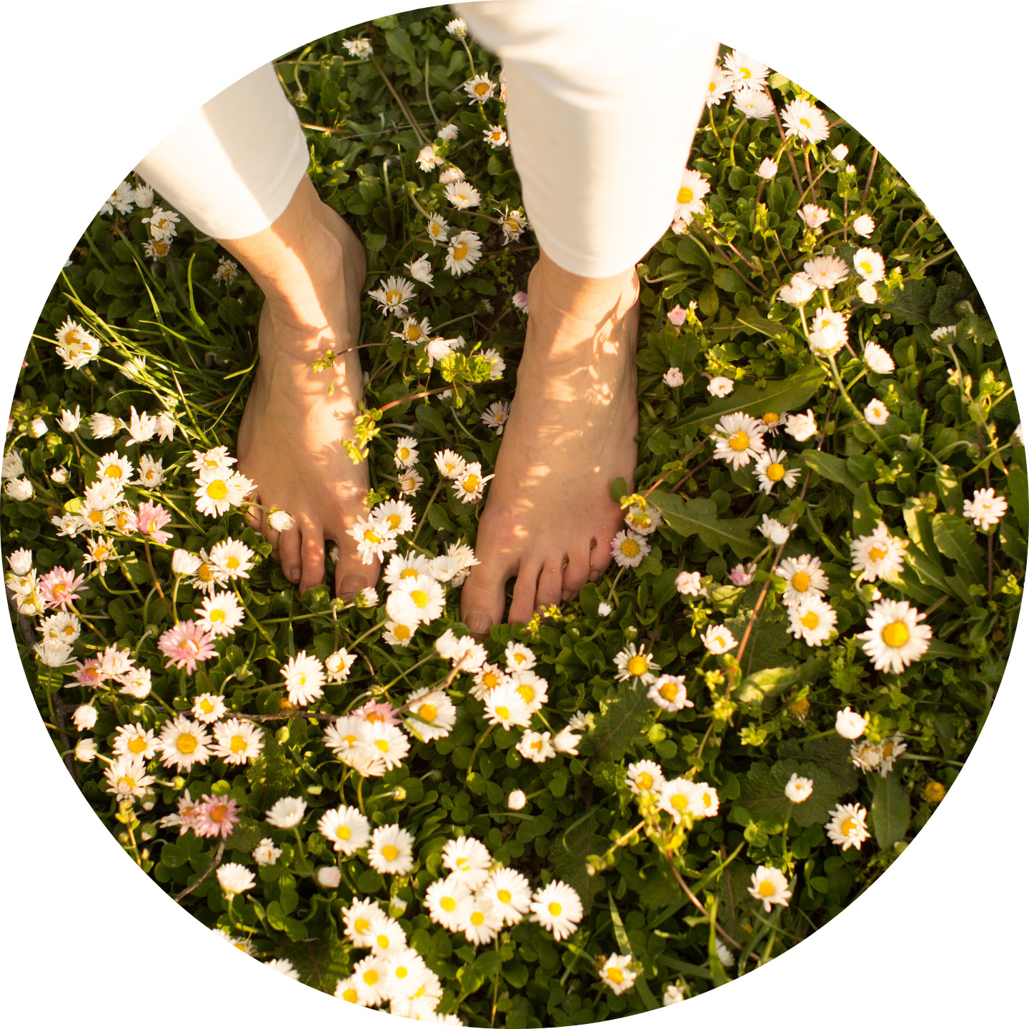 Sanar la relación con el cuerpo