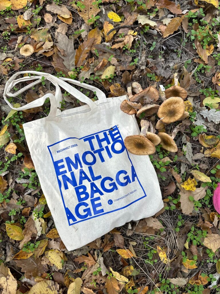 WhatsApp Image 2026 03 26 at 17.41.50