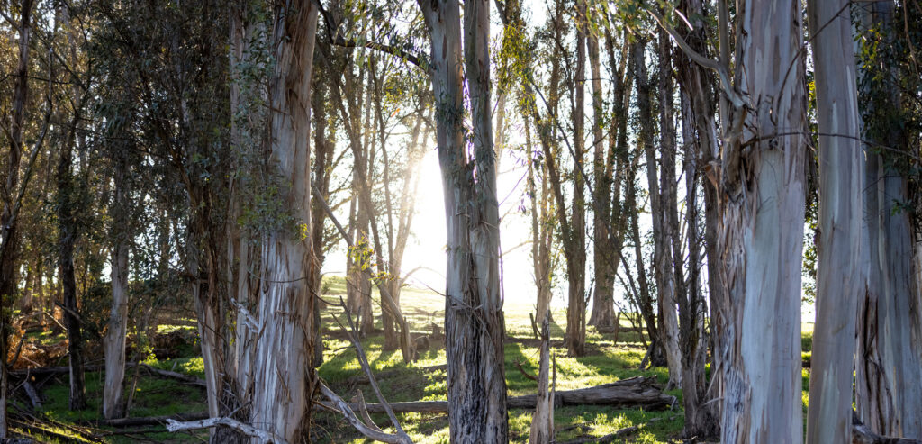 When Spirit Leaves the Body