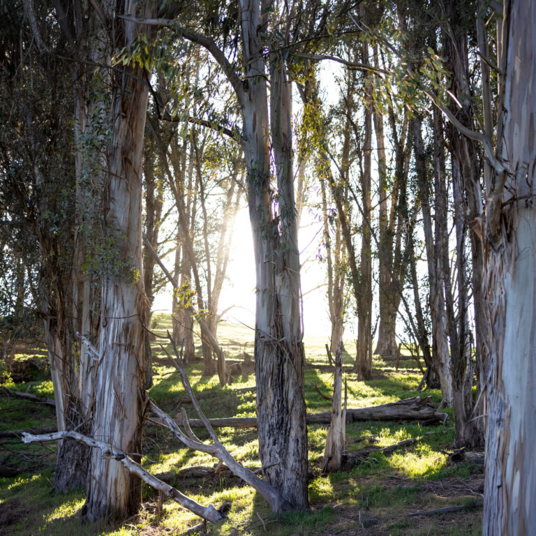 When Spirit Leaves the Body sq